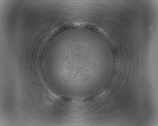 X0000079291249200612011715