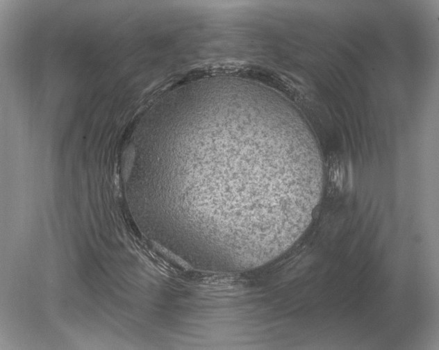 X0000079291252200612011715