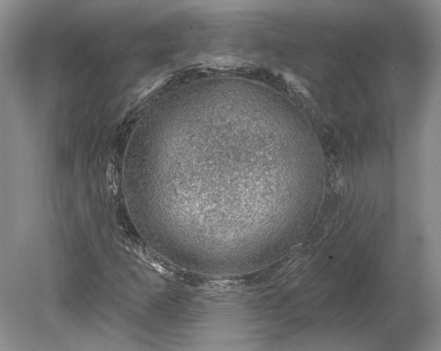 X0000079291253200612011715
