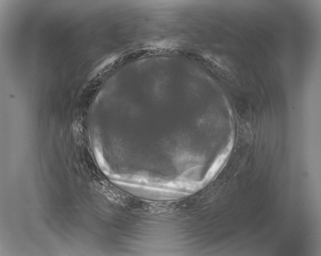 X0000079291254200612011715