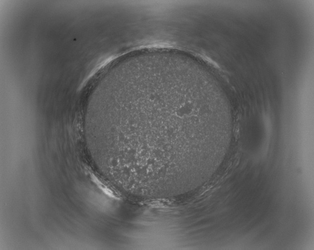 X0000079291255200612011715