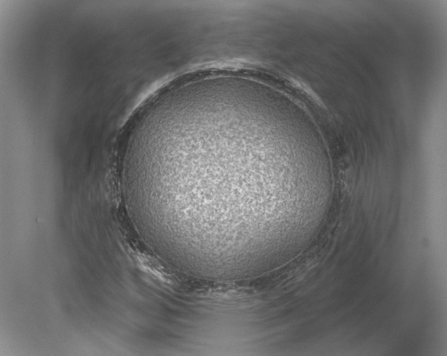 X0000079291256200612011715