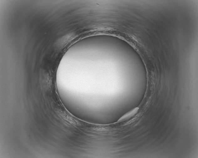 X0000079291257200612011715