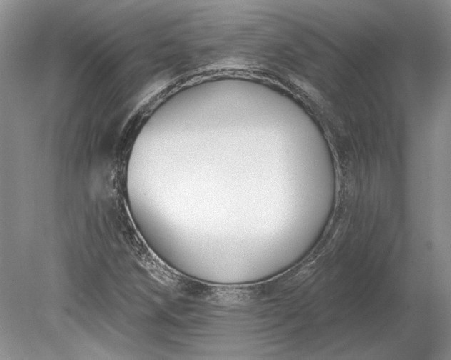 X0000079291258200612011715