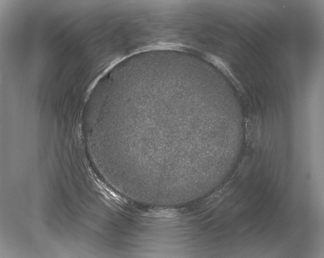 X0000079291260200612011715