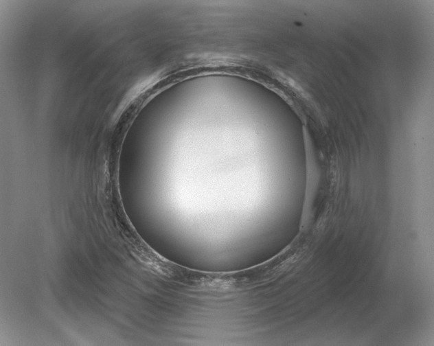 X0000079291261200612011715