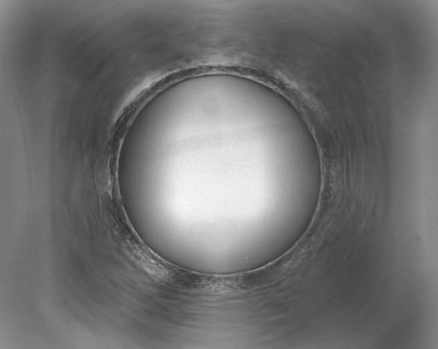 X0000079291262200612011715