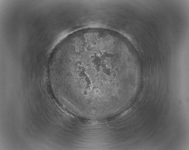 X0000079291263200612011715