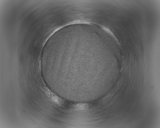 X0000079291268200612011715