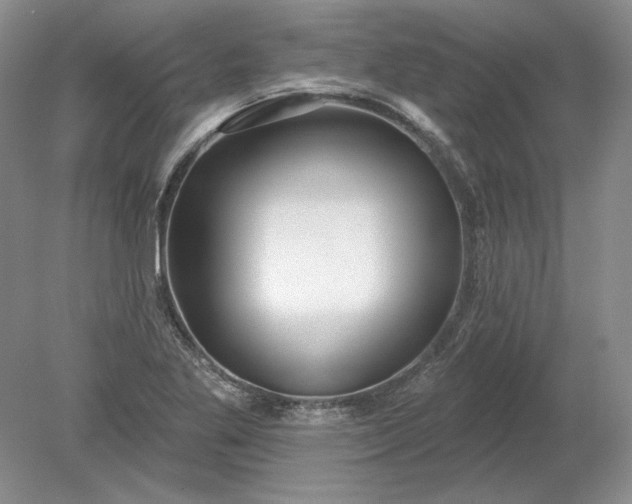 X0000079291269200612011715