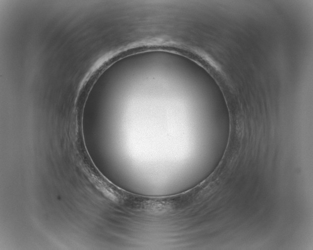 X0000079291270200612011715