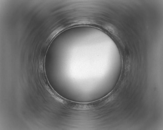X0000079291273200612011714