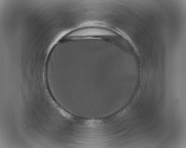 X0000079291277200612011714