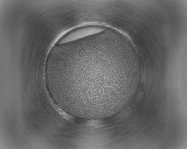 X0000079291279200612011714