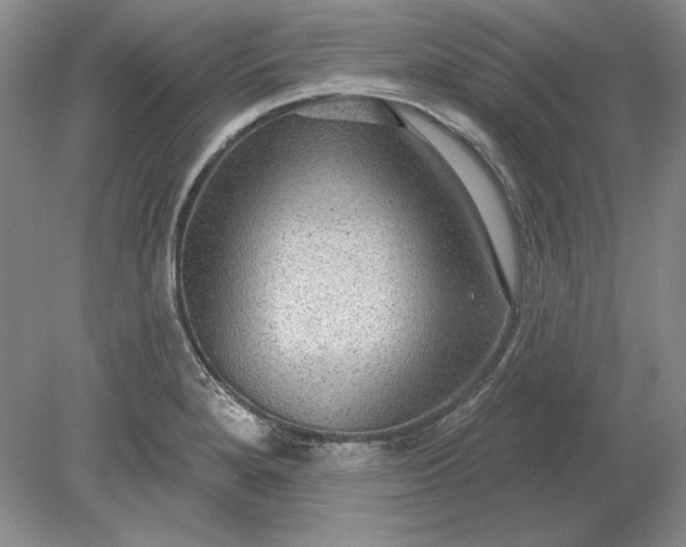 X0000079291280200612011714