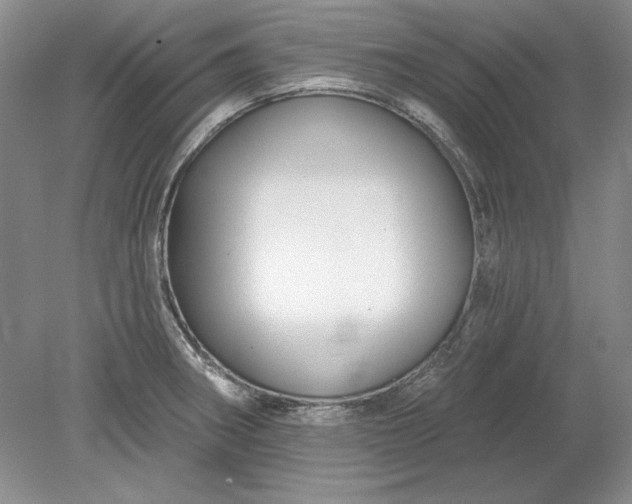 X0000079291282200612011714