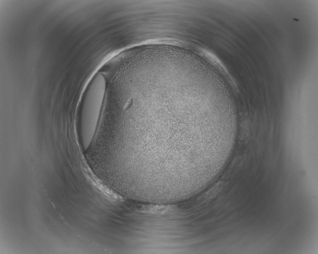 X0000079291284200612011714