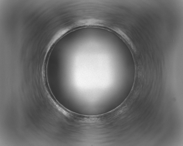 X0000079291285200612011714