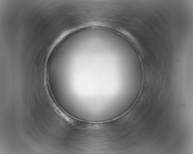 X0000079291286200612011714