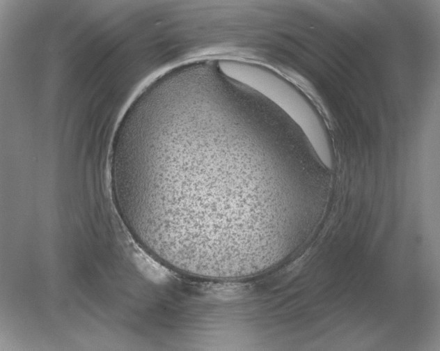 X0000079291288200612011714