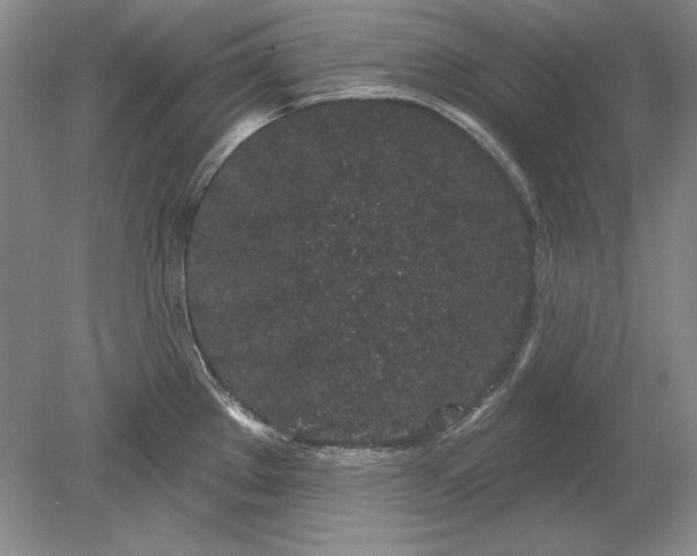 X0000079291289200612011714
