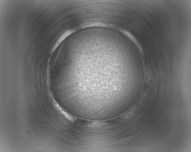 X0000079291290200612011714
