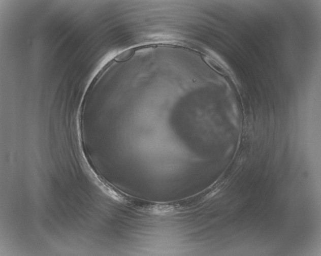 X0000079291291200612011714