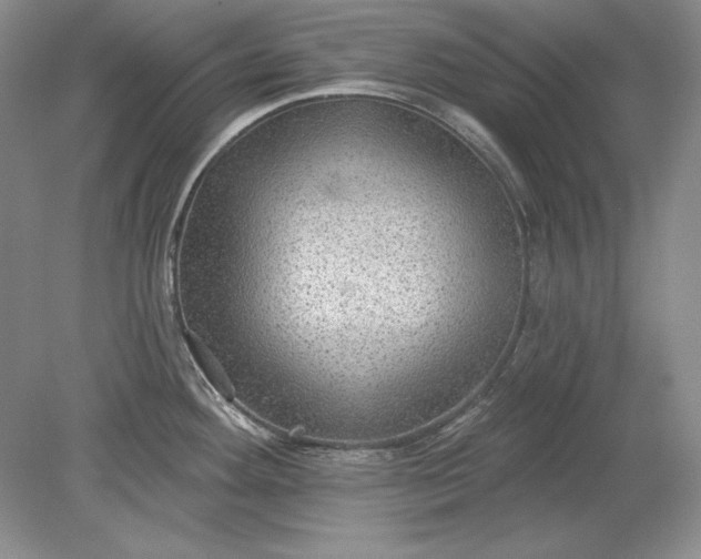 X0000079291292200612011714