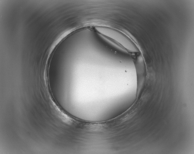 X0000079291293200612011714