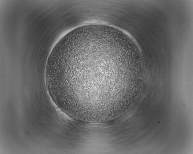 X0000079291295200612011714