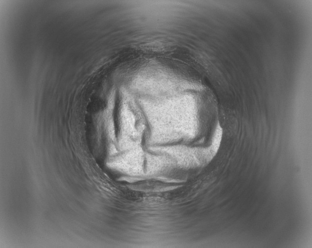 X0000079291297200612011713