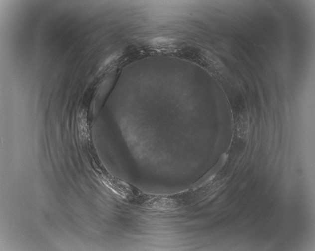 X0000079291298200612011713