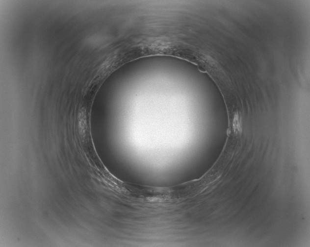 X0000079291299200612011713