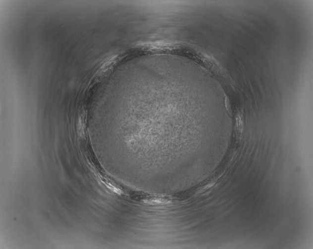 X0000079291300200612011713