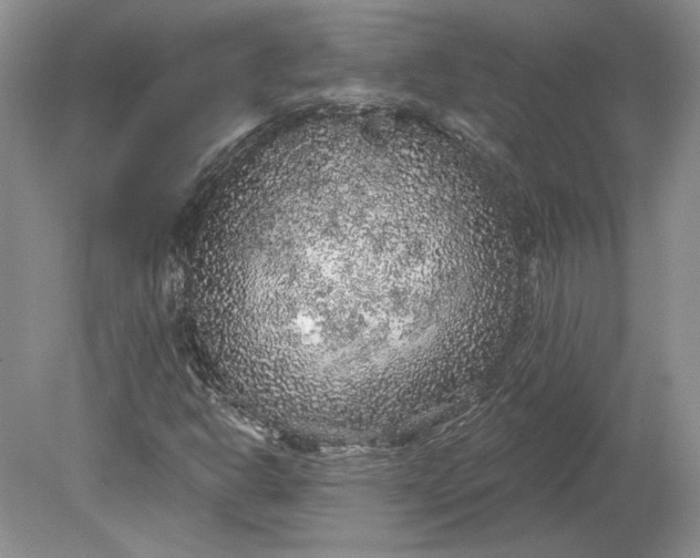 X0000079291302200612011713