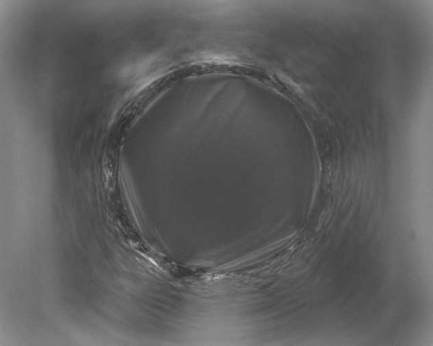 X0000079291303200612011713