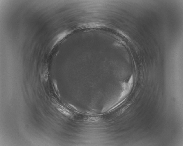 X0000079291306200612011713