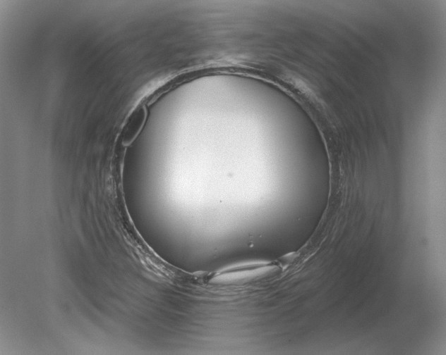 X0000079291308200612011713