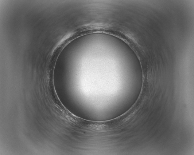 X0000079291309200612011713