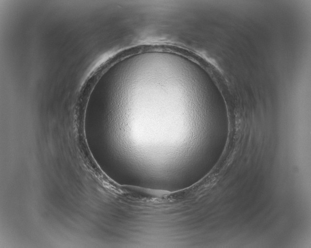 X0000079291311200612011713