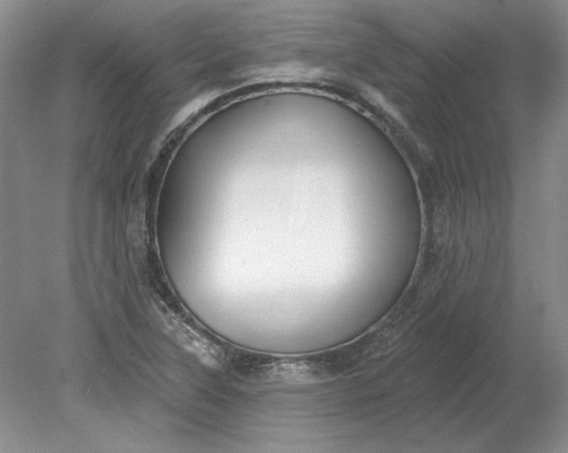 X0000079291315200612011714