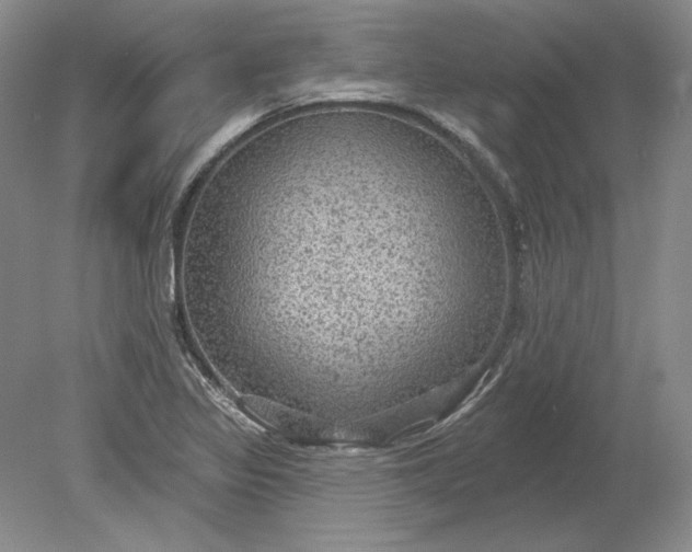 X0000079291317200612011714