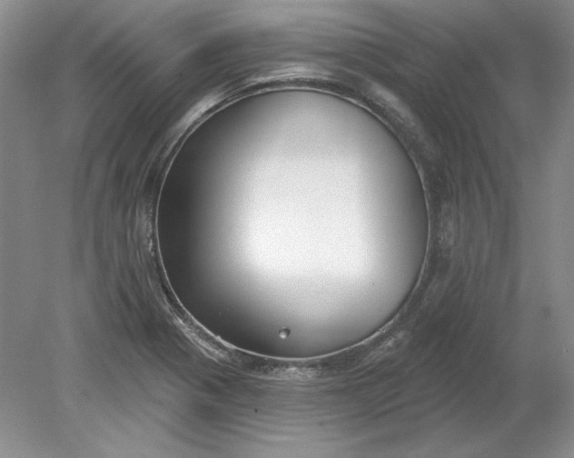 X0000079291321200612011714