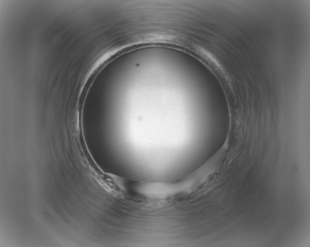 X0000079291324200612011714