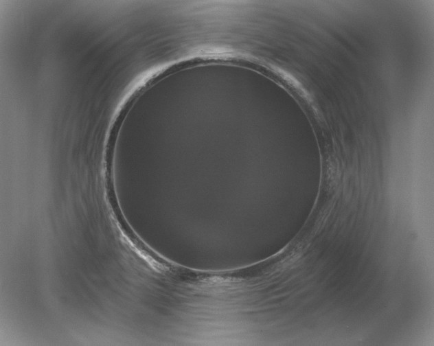 X0000079291327200612011714