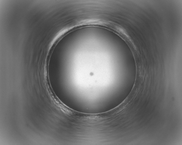 X0000079291328200612011714
