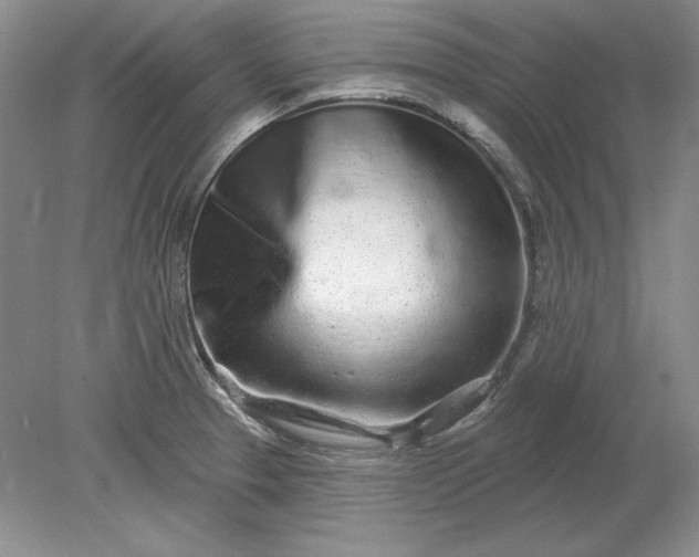 X0000079291329200612011714