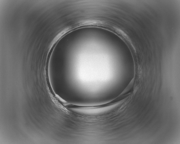 X0000079291330200612011714