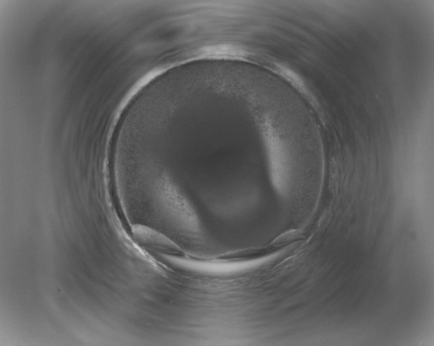 X0000079291331200612011714