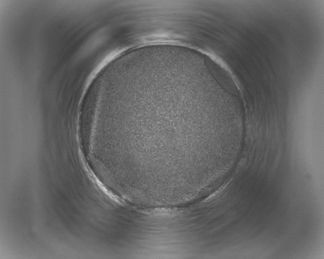 X0000079291333200612011714